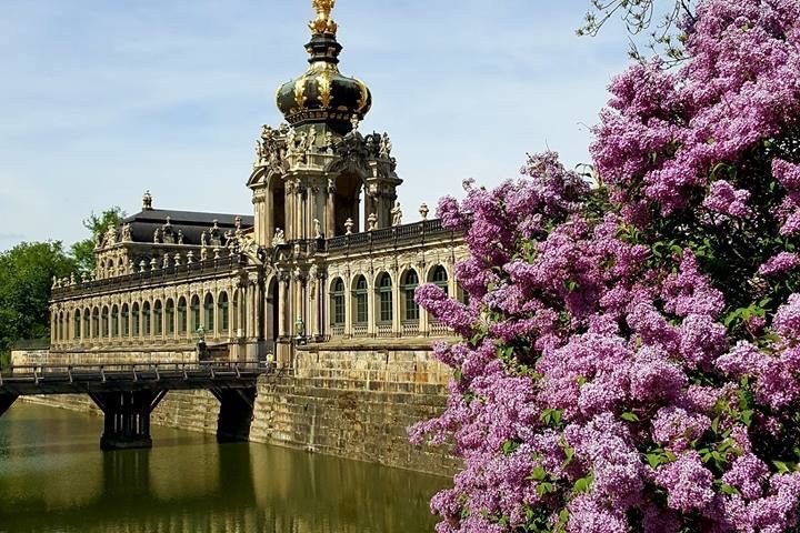 Aussicht auf ein großes historisches Gebäude mit einem Turm und einem Strauch mit violetten Blüten im rechten Vordergrund